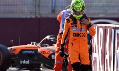 Lando Norris Hit by Online Abuse After Calling for Franco Colapinto F1 Ban Pierre Gasly Alpine Flavio Briatore