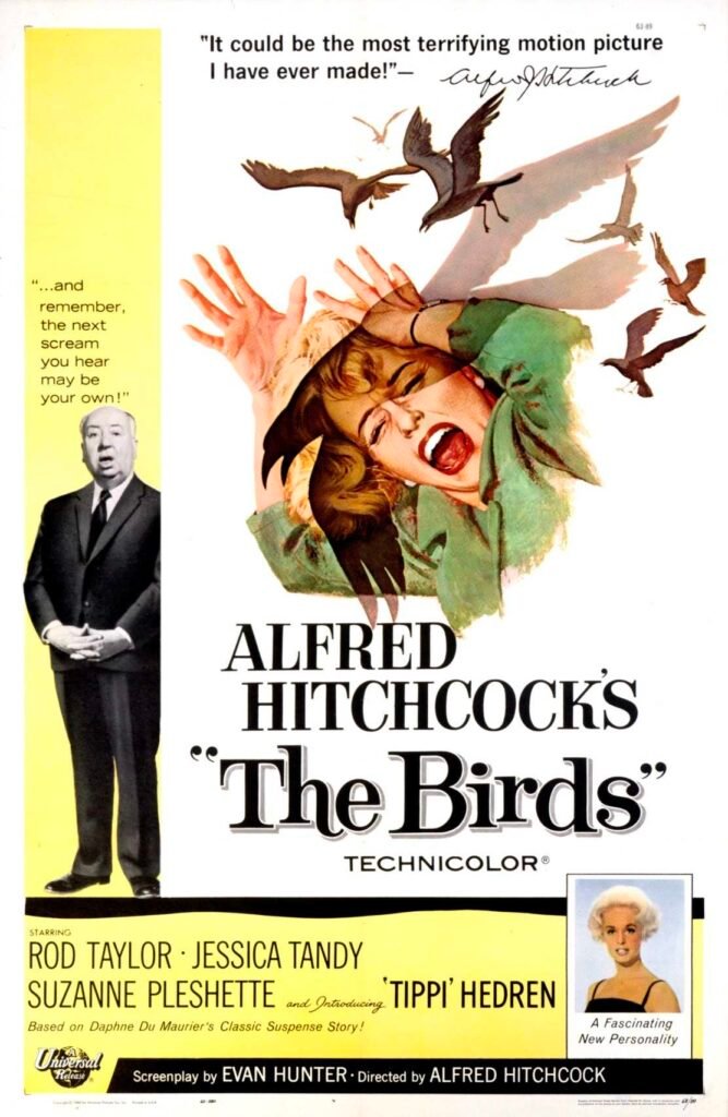 Alfred Hitchcock 1963 film The Birds